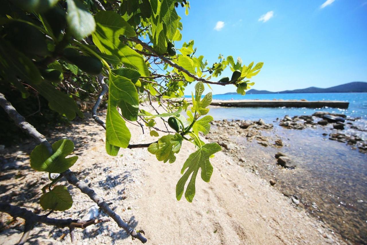 Mobile Home Plumeria 1 Biograd Na Moru Eksteriør bilde